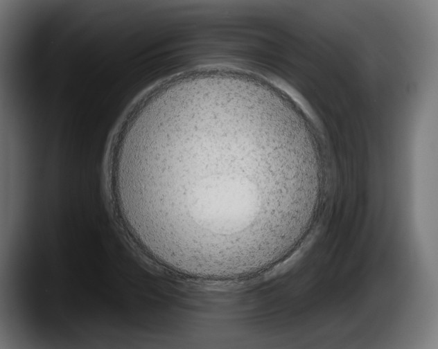 X0000087540832200705251718