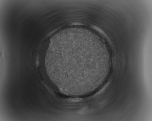 X0000087540833200705251718