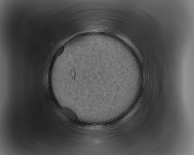 X0000087540834200705251718