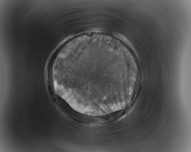 X0000087540835200705251718