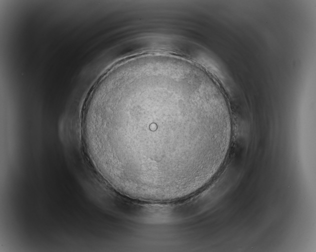 X0000087540836200705251718