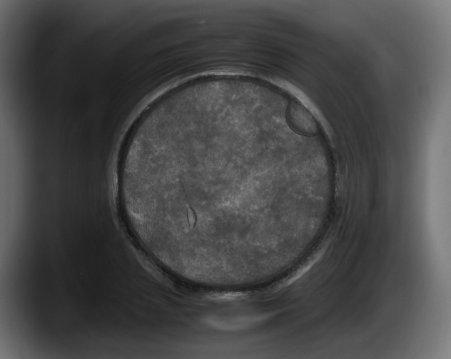 X0000087540837200705251718