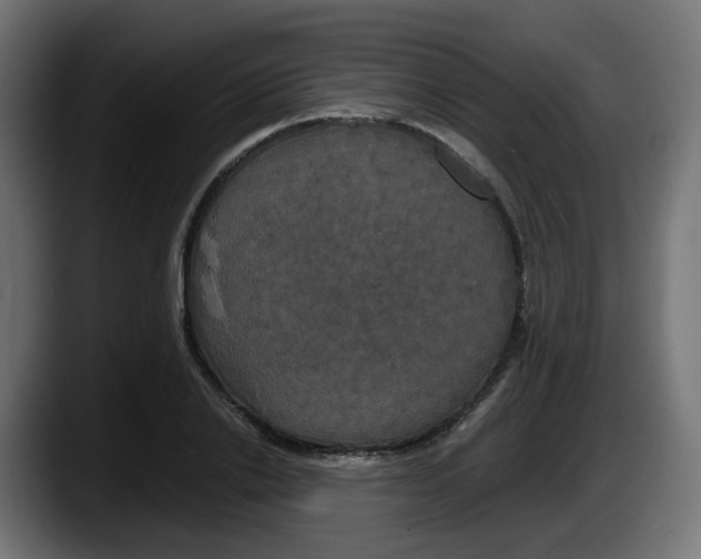 X0000087540838200705251718