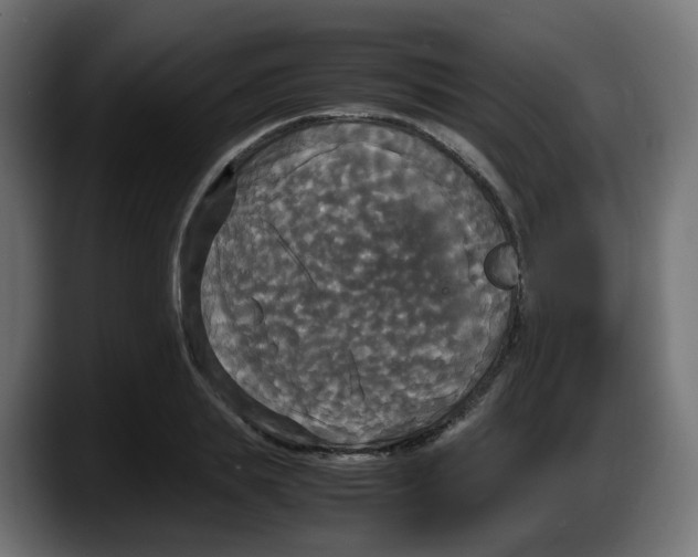 X0000087540839200705251718