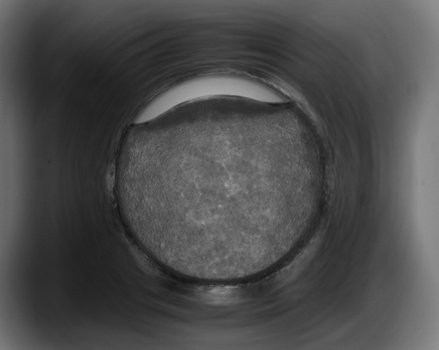 X0000087540841200705251718