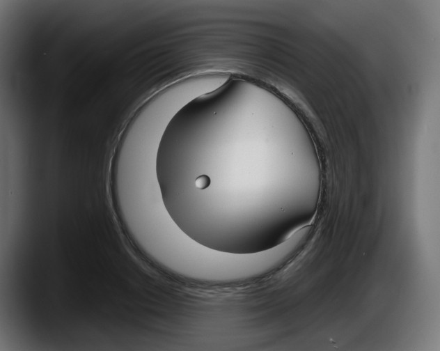 X0000087540842200705251718