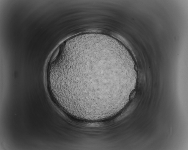 X0000087540843200705251718