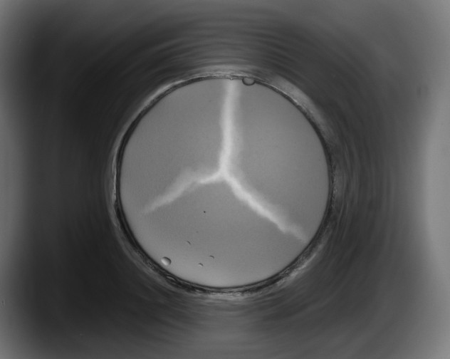 X0000087540844200705251718