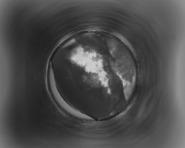 X0000087540845200705251718