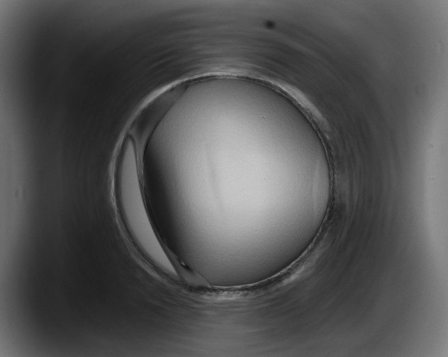 X0000087540846200705251718