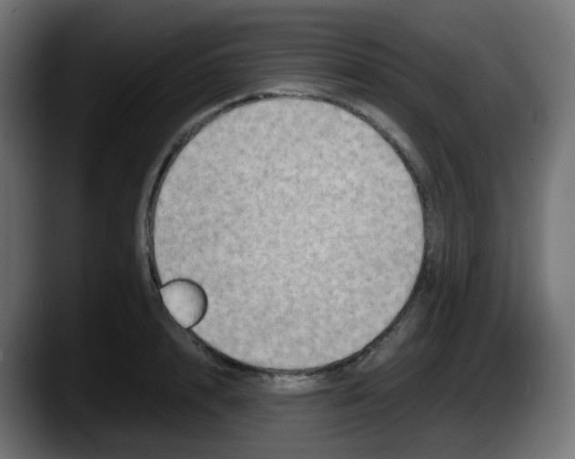 X0000087540848200705251718