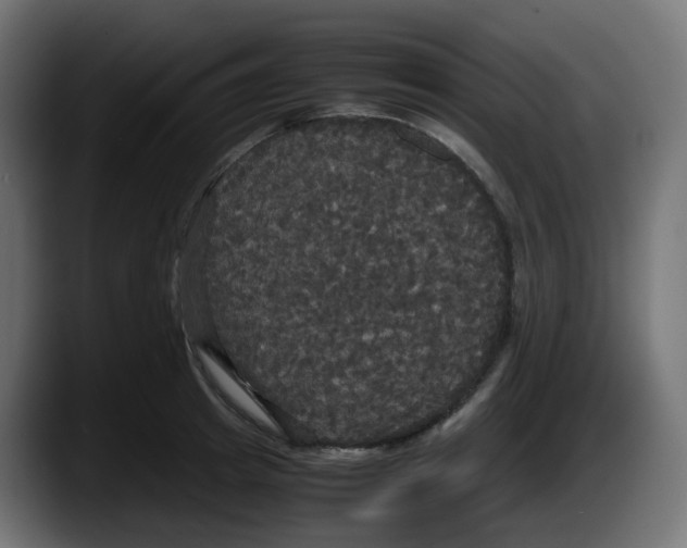 X0000087540849200705251718