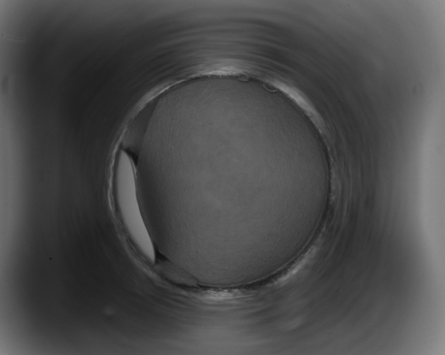 X0000087540850200705251718