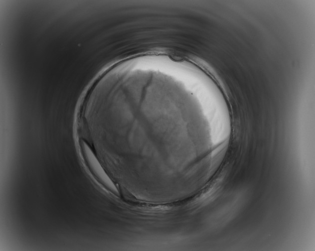 X0000087540851200705251718