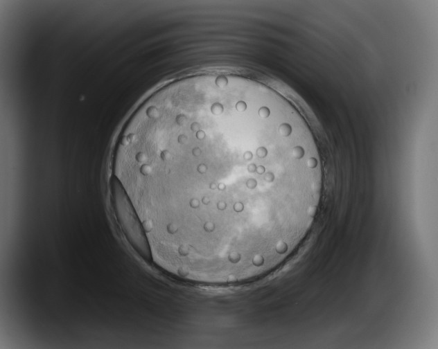 X0000087540852200705251718