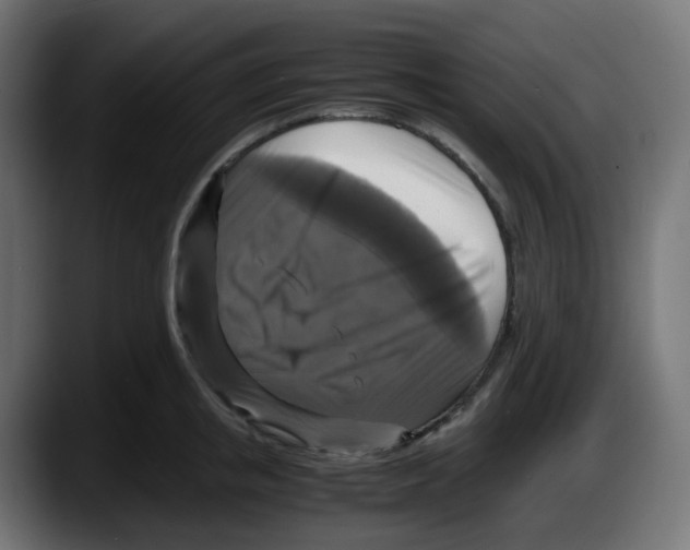 X0000087540853200705251718