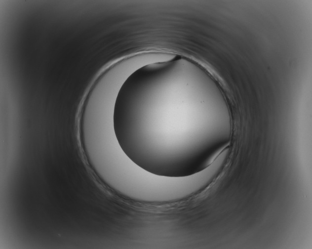 X0000087540854200705251718