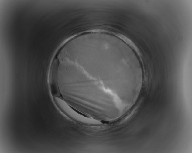 X0000087540855200705251718