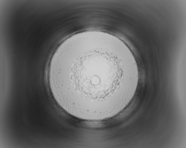 X0000087540856200705251718