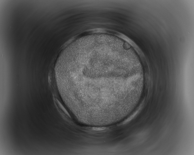 X0000087540857200705251718