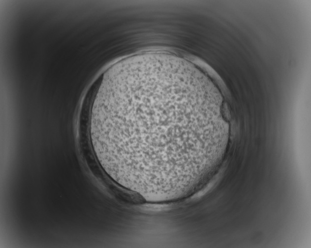 X0000087540860200705251718