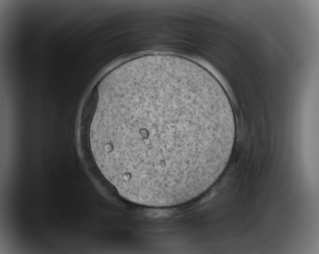 X0000087540861200705251718