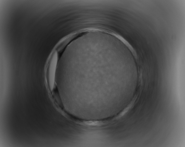 X0000087540862200705251718