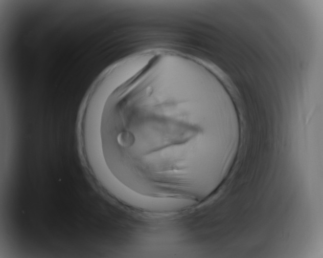 X0000087540864200705251718