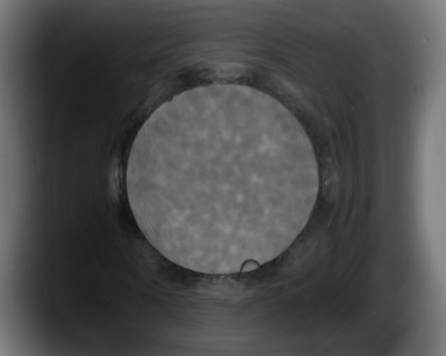 X0000087540866200705251718