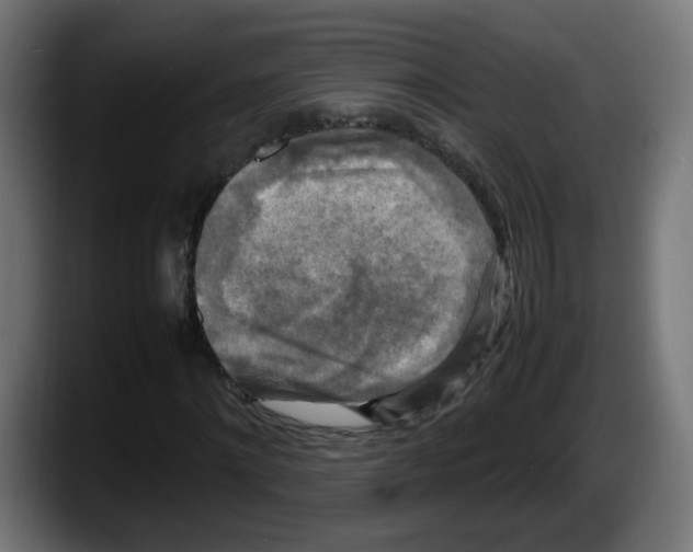 X0000087540868200705251718