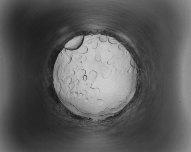 X0000087540871200705251718