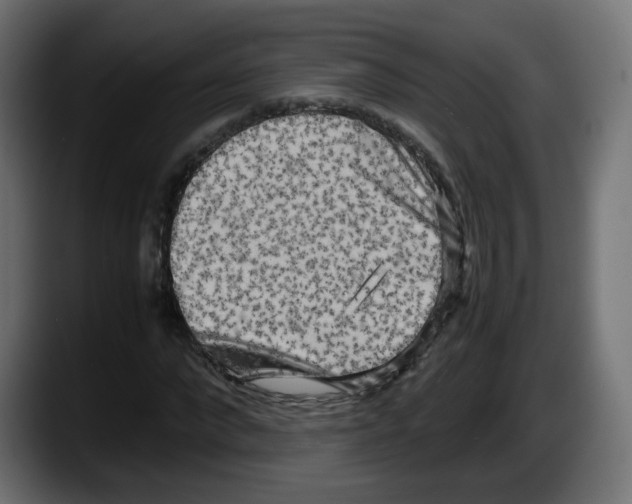 X0000087540872200705251718