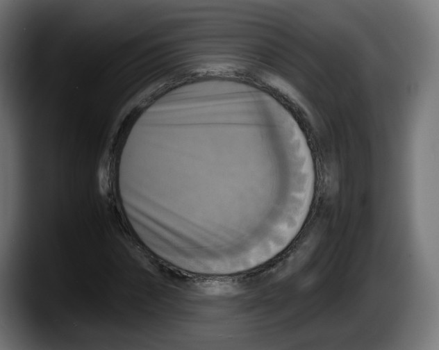 X0000087540874200705251718