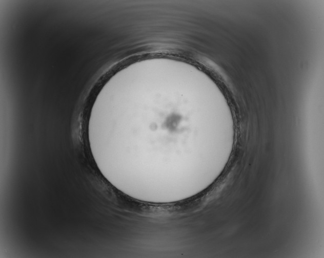 X0000087540875200705251718