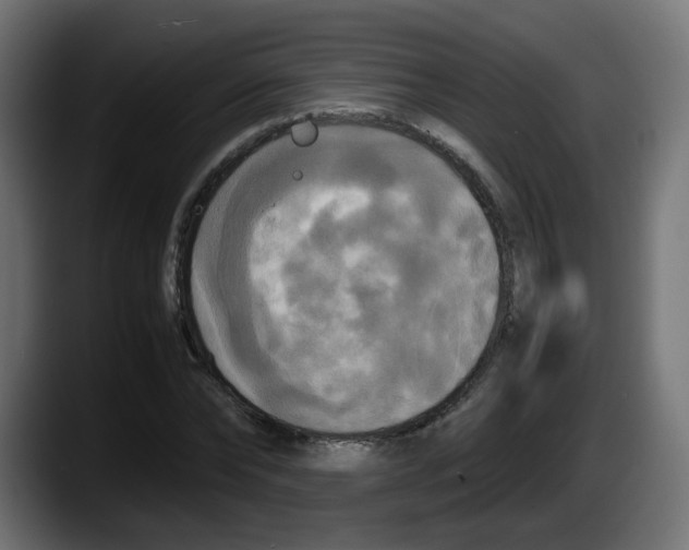 X0000087540878200705251718