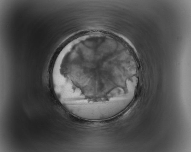 X0000087540879200705251718