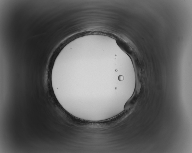 X0000087540880200705251718