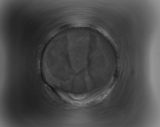 X0000087540881200705251718