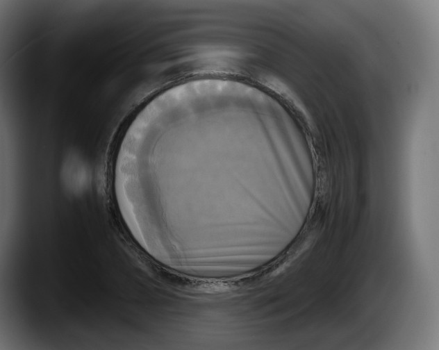 X0000087540882200705251718