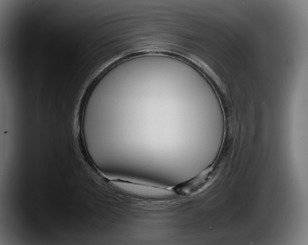 X0000087540885200705251718