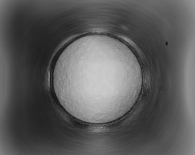 X0000087540886200705251718