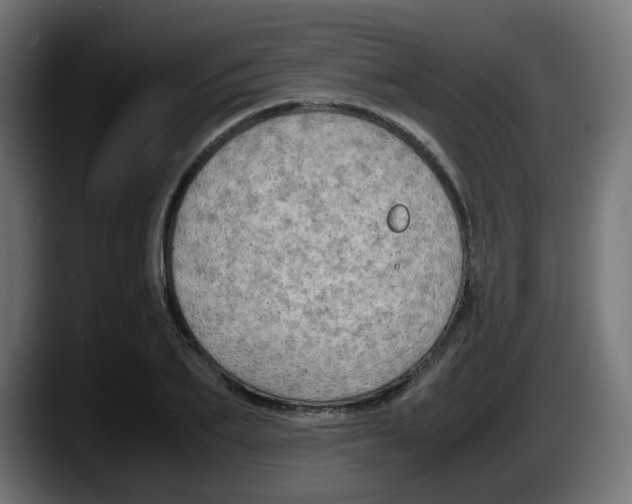 X0000087540887200705251718