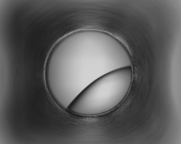 X0000087540888200705251718