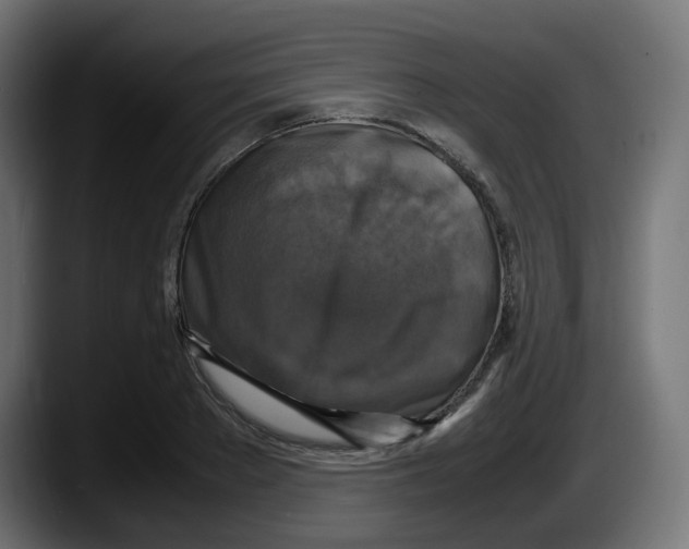 X0000087540889200705251718