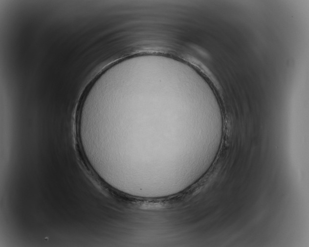 X0000087540890200705251717