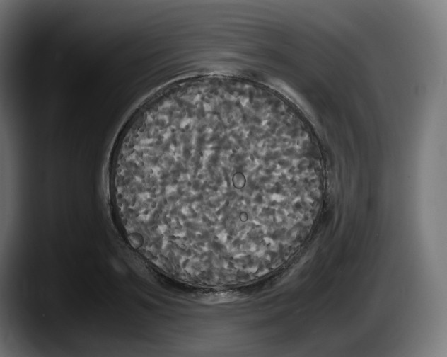 X0000087540891200705251717