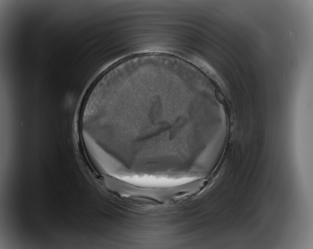 X0000087540892200705251717