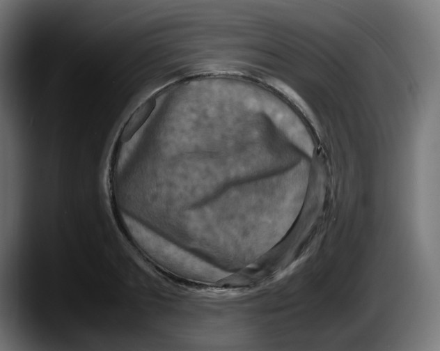 X0000087540893200705251717