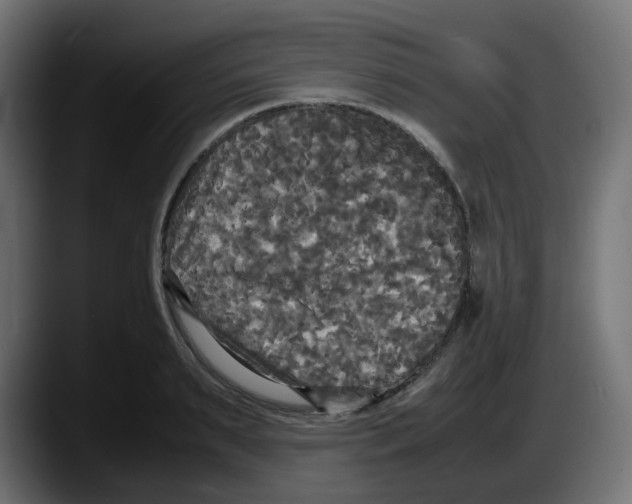 X0000087540895200705251717