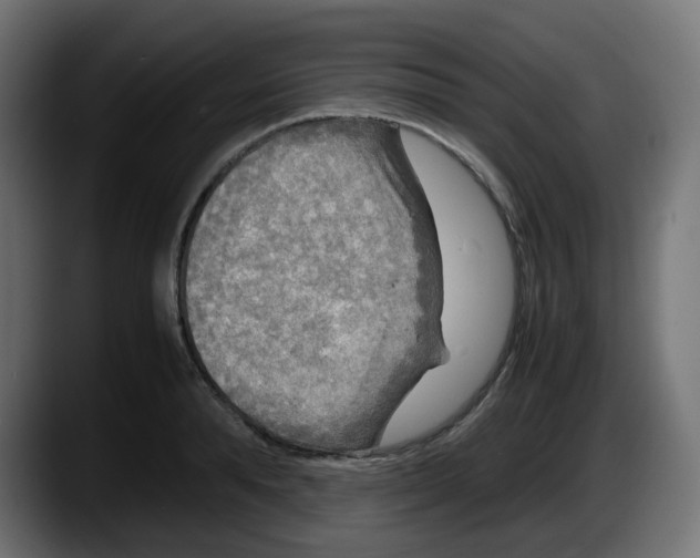 X0000087540896200705251717